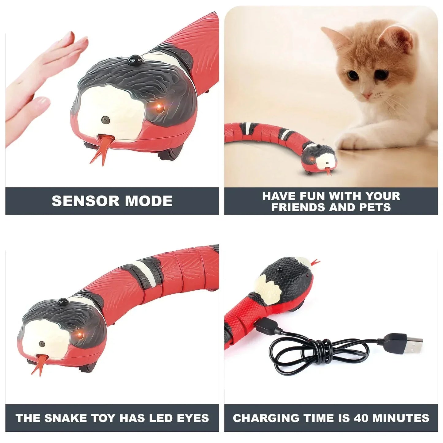 cat Snake toy