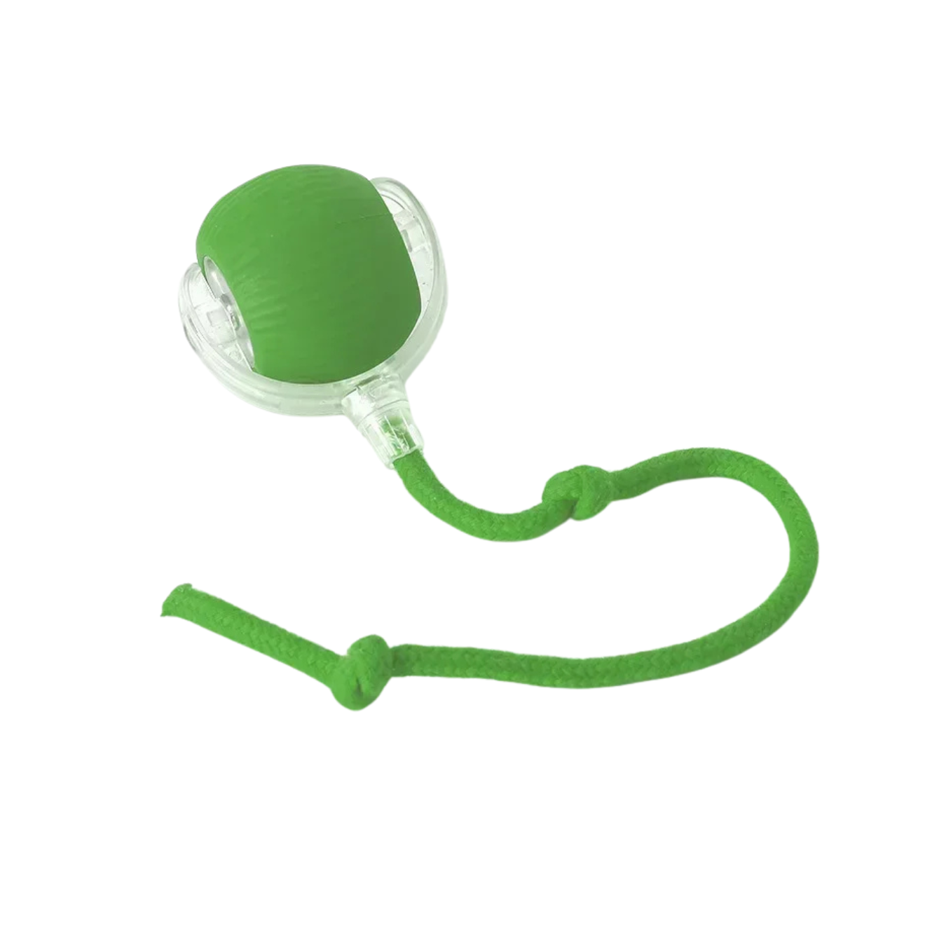 Cat Tail Ball