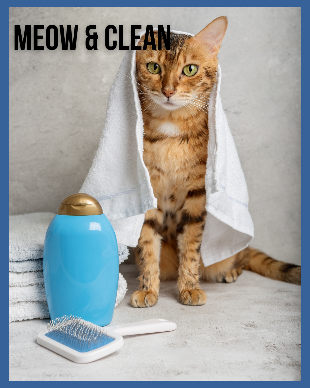 Meow & Clean