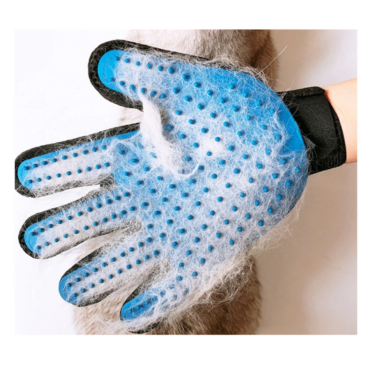 Brushing Glove Cat