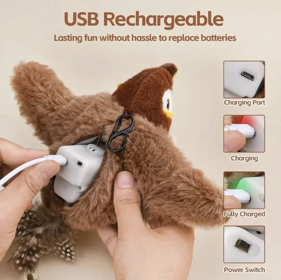 Cat bird Toy