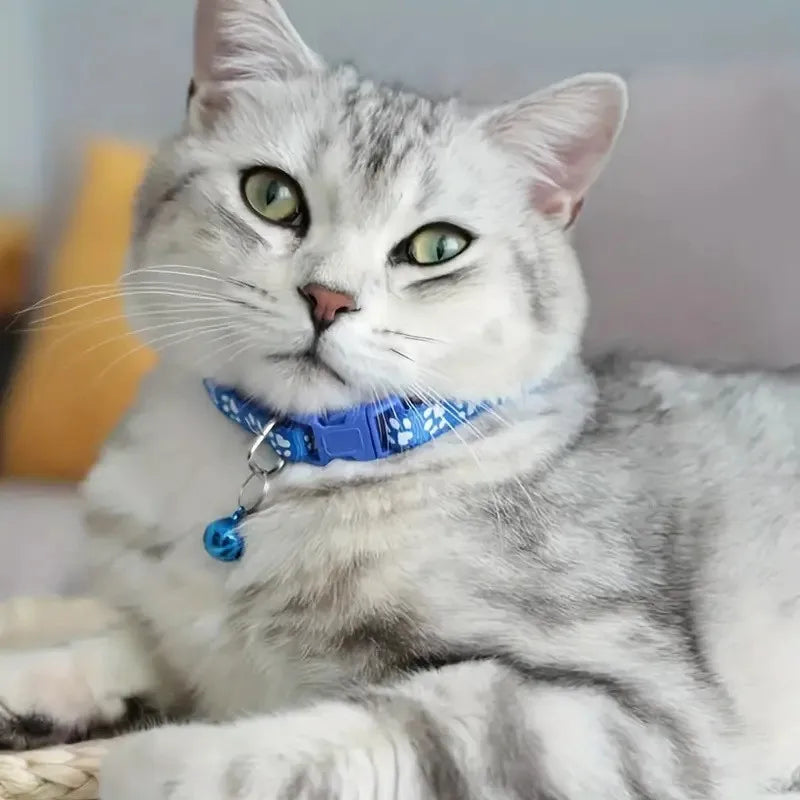 Cute Cat Collar with Bell