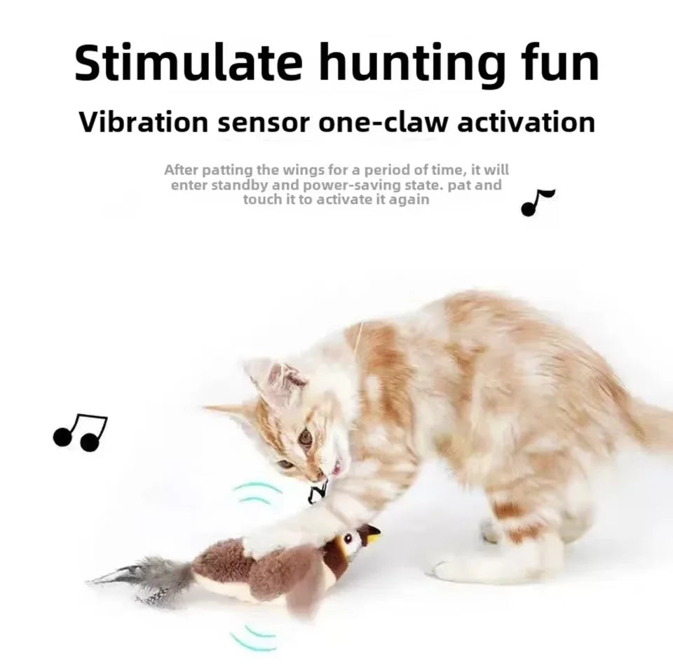 Cat bird Toy