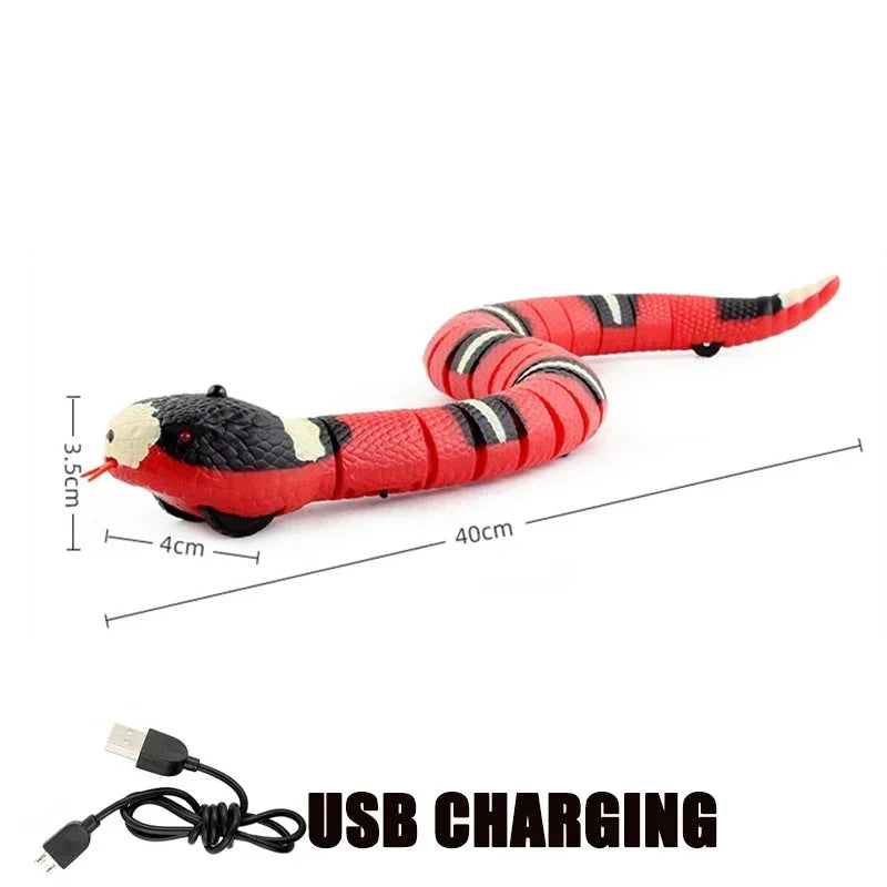 cat Snake toy