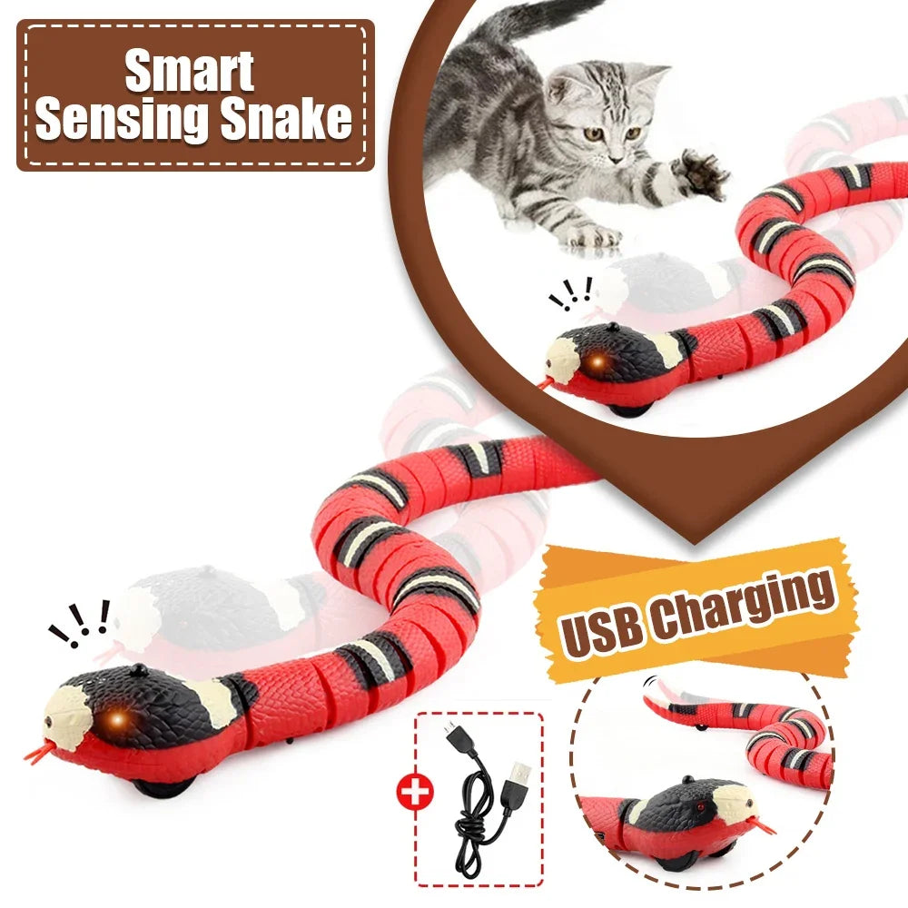 cat Snake toy