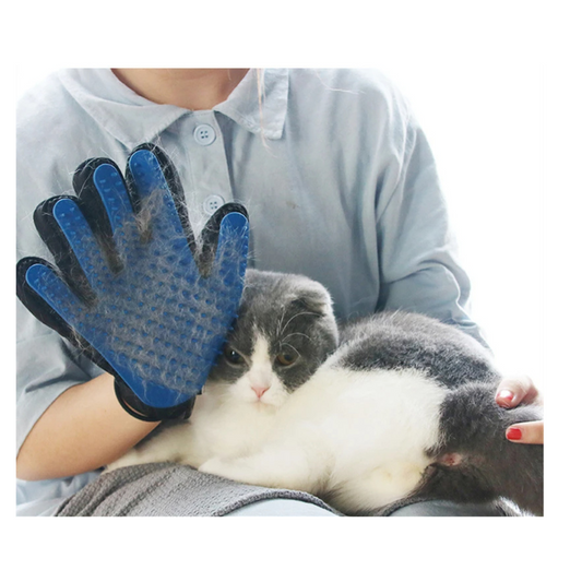 Brushing Glove Cat
